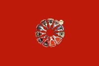 中山市东凤镇回收红酒